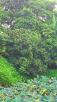 Huizhou Luofushan Lihe Ecological Park Hot Spring Homestay
