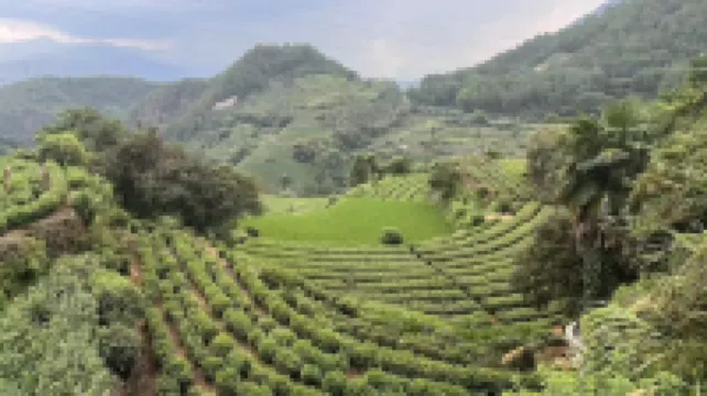 Yangjiatang Banshan Homestay