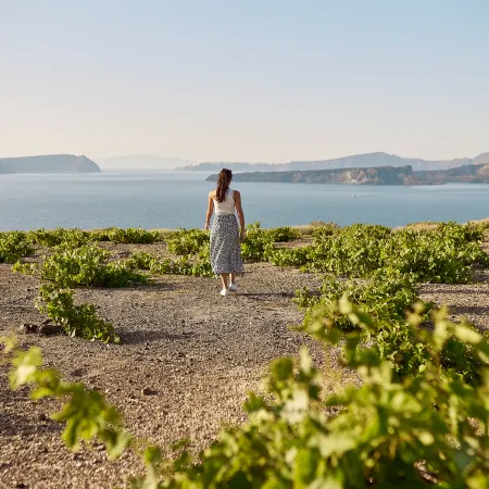 Coco-Mat Hotel Santorini Отели рядом с достопримечательностью «Белый пляж»