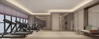 Mercure Linfenxi Railway Station - Gym