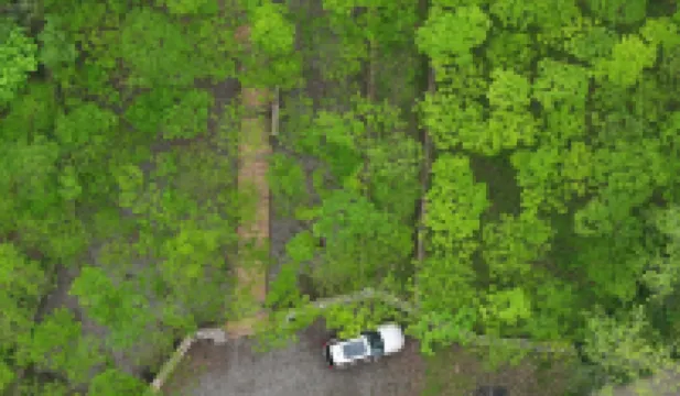 Hunan Echo Forest Rural Healing Homestay