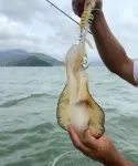 較場尾壹品寒舍民宿 - 海滩