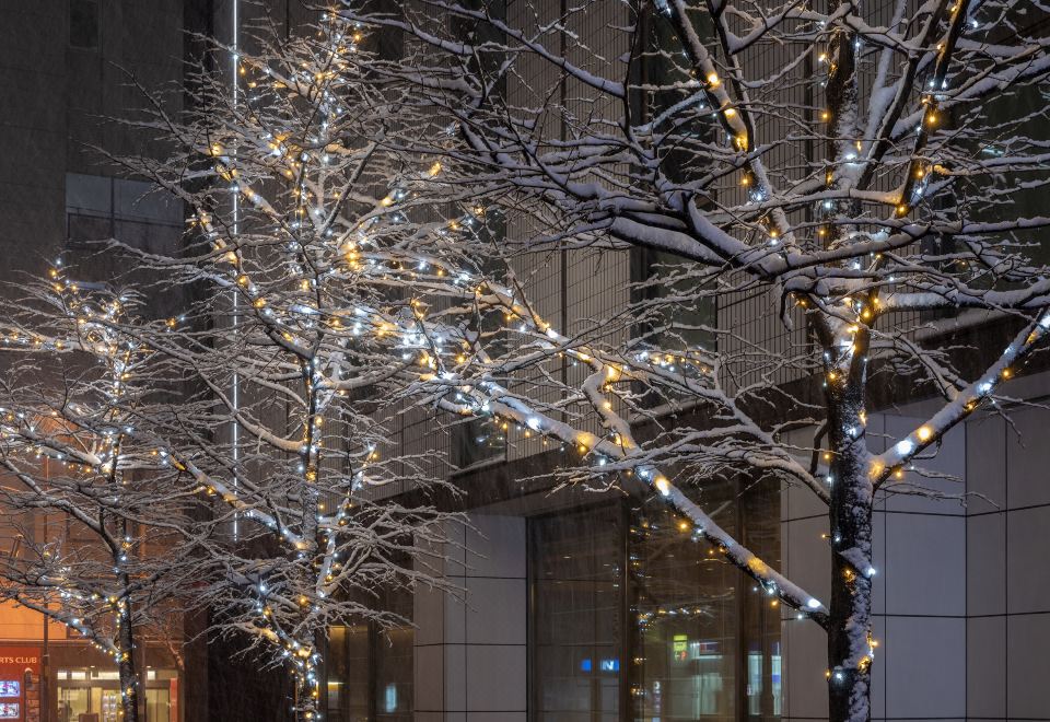 2. 미츠이 가든 호..