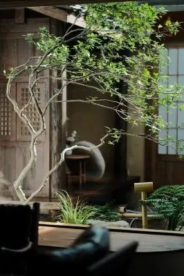 Wuyishan Panzhu · Tea Hotel Tea-themed Stay - 2-Star