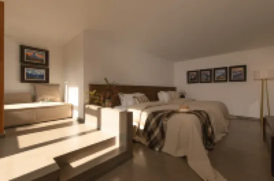 ฮอลิเดย์ คอร์ทยาร์ดเชาเชอ