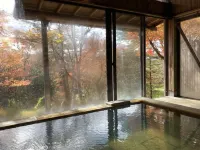 Wakaki Ryokan - Nasu Yumoto Onsen
