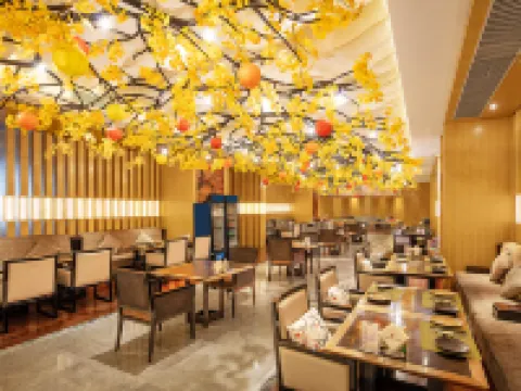 Suining Dongxu Soluxe International Grand Hotel Hoteles en Suining