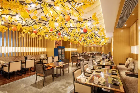 Suining Dongxu Soluxe International Grand Hotel