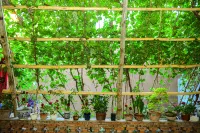 Jiang Haolai Homestay