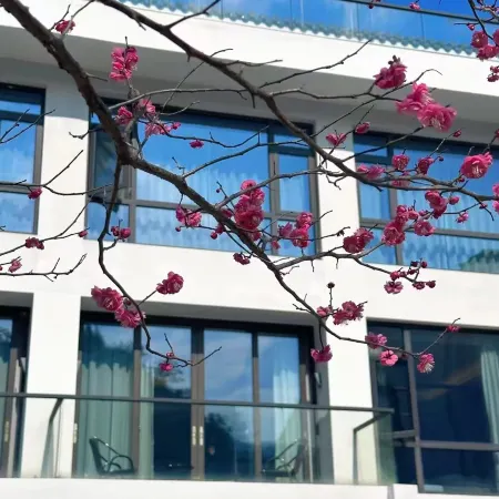 Mount Yandang Linfeng Shanshe Guesthouse
