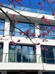 Mount Yandang Linfeng Shanshe Guesthouse