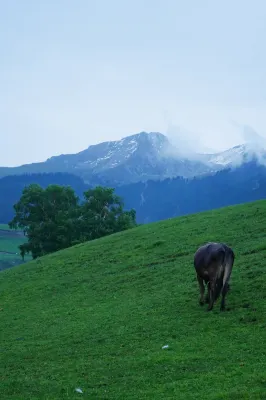 Qiongkushitai Xingyejian Homestay