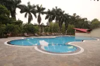 Royal Tiger Luxury Resort - Pools