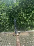 Baling Yonghu Manor (Dongting Lake China Panda Garden) - parking
