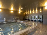 Nihon Seinenkan Hotel Hotels near Gyre