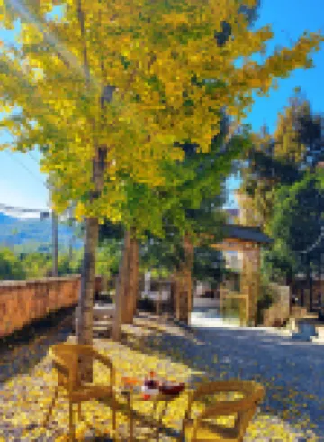 Xianning Starry Rain Bamboo Yard B&B