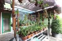 OYO 95108 Nareswari Homestay Syariah - parkir