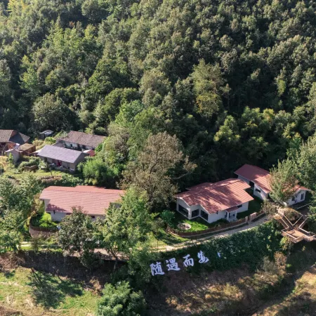 Zizai Courtyard Wintergreen Homestay