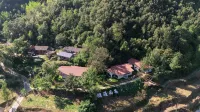 Zizai Courtyard Wintergreen Homestay