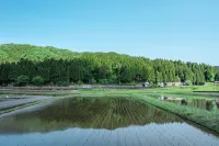 ICHIJODANI SAKU