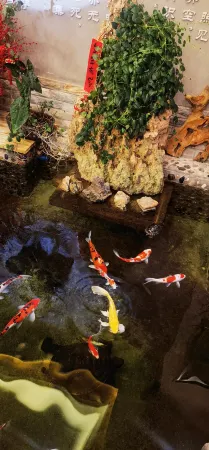 Tongqing Homestay Отели рядом с достопримечательностью «Three Reef Range Rover»