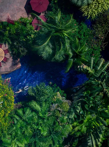 รูปภาพของเชอราตัน แกรนด์ สุขุมวิท ลักซ์ชัวรี่ คอลเล็คชั่น โฮเทล กรุงเทพ