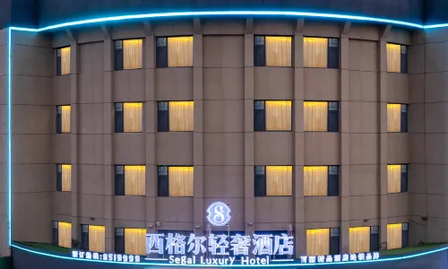 Dongying Siegel Light Luxury Hotel