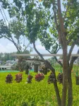 Shucheng Xuefu Hotel - 2-Star