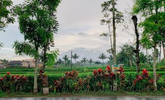 Lesehan Cahaya Tetebatu Inn Syariah at Desa Wisata