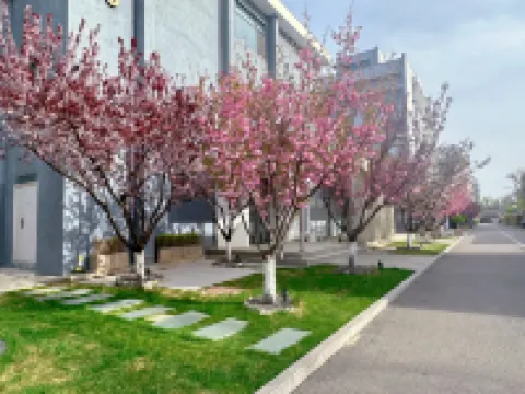 Homeinn Selected Hotel (Beijing Beihai Park Peking University Hospital) Hotels in Beijing