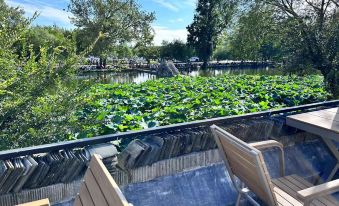 Moonlit Lotus Pond Scenic View Holiday Guesthouse | Nanhu Lakeside, Near Painting Bridge, Hongcun