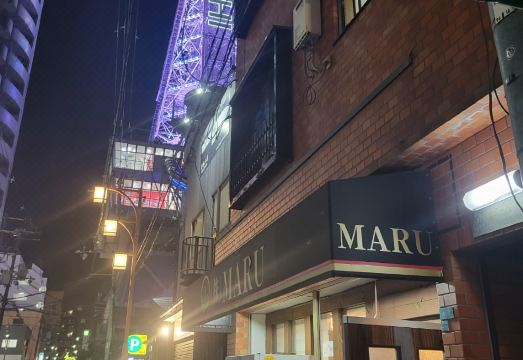 2. 오사카 마루 하..