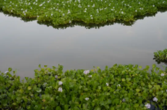 Youping Farmhouse Hotel