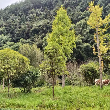 Xinyuan Homestay (Shuanghe Cave Via Ferrata)