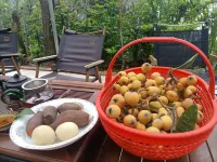 Jiande Xuan Mingyuan Homestay