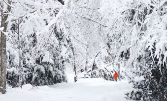 Xuexiang Xueyu Mountain Residence Hotel