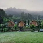 lion resort&cafe