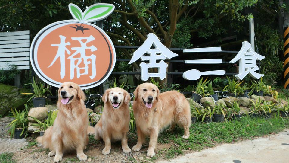 橘舎三食