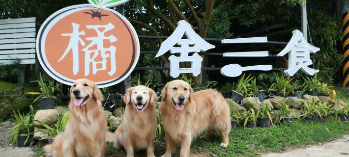 OrangeFarmerlife Hotel di Miaoli