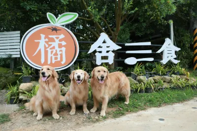 橘舍三食 鯉魚潭水庫附近的飯店