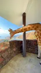 Dali Santorini Guyue Xareidu Sea View Resort Hotel - Familien