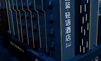 Blue Light Language (Suning Square Store)