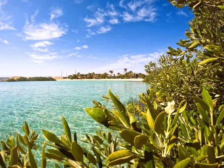 Mangrove Bay Resort Отели в г. Qesm Al Qoseir