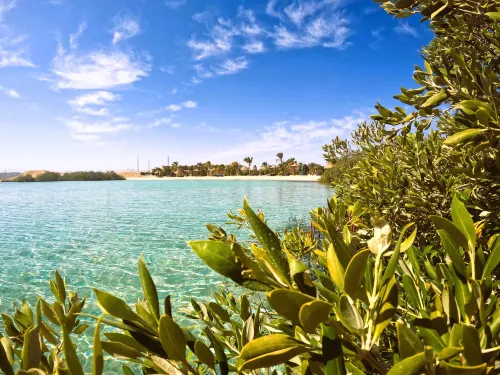Mangrove Bay Resort Hôtels à : Qesm Al Qoseir