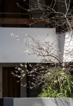 Old Town of Lijiang · Kuanshang Hotel