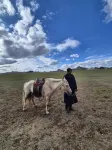 1000 Starlight Steppe Camp Hotels in Erdenesant