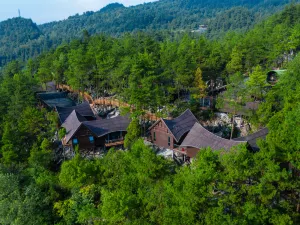 Youyang Taohuayuan Forest Hotel