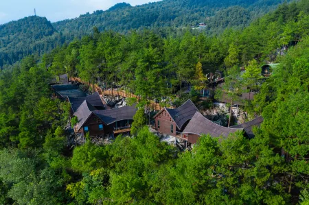 Youyang Taohuayuan Forest Hotel