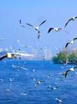 昆明·麗柏WAVESWEPT·MISTYSEA設計酒店（昆明站環城南路地鐵店） - 浪漫/情侶
