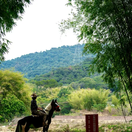 Solowandering· Fuxi Riverside Hotel